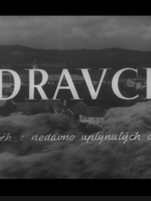 Dravci