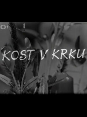 Kost v krku