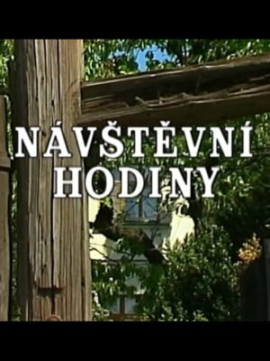 Návštěvní hodiny