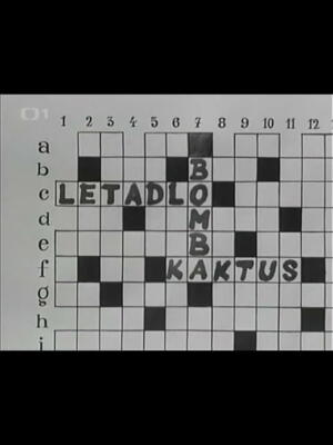 Kaktus, bomba, letadlo