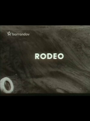 Rodeo