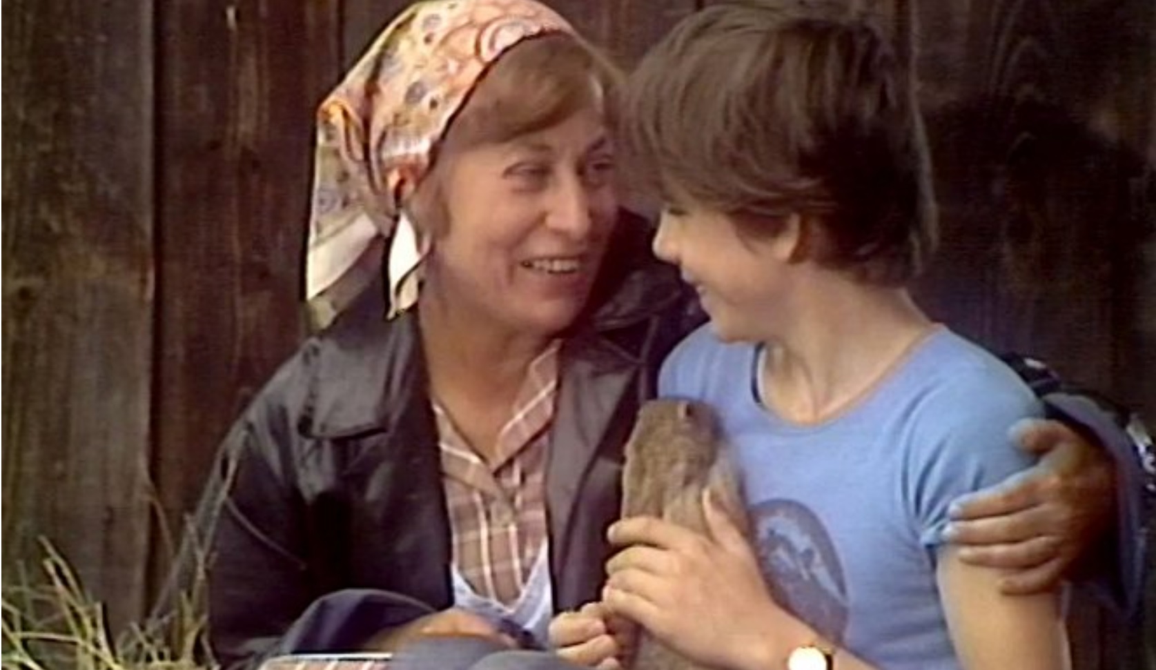 Tapeta filmu Oheň ve dřevě / Ohen ve dreve (1977)