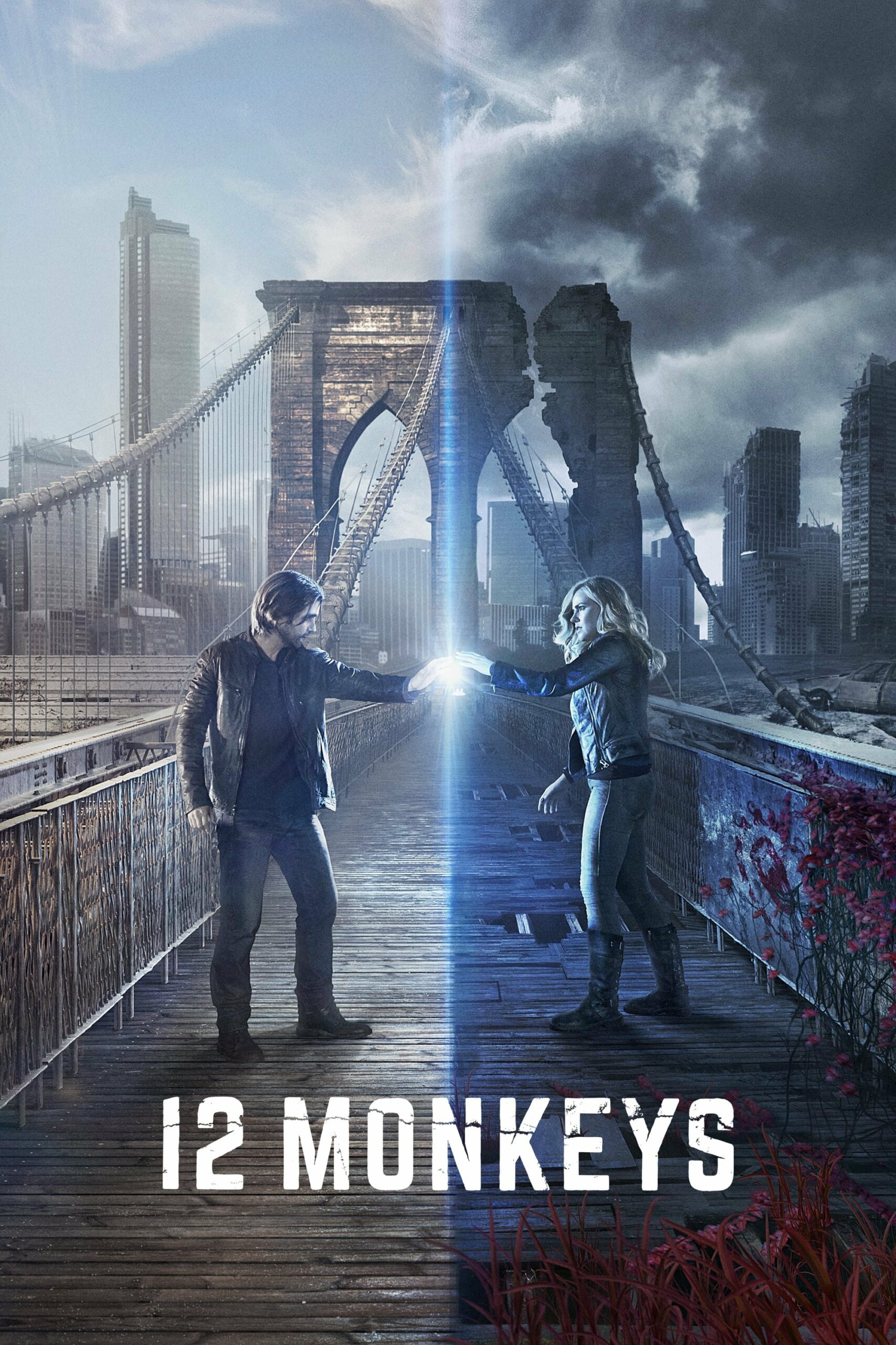Plakát pro film “12 opic”
