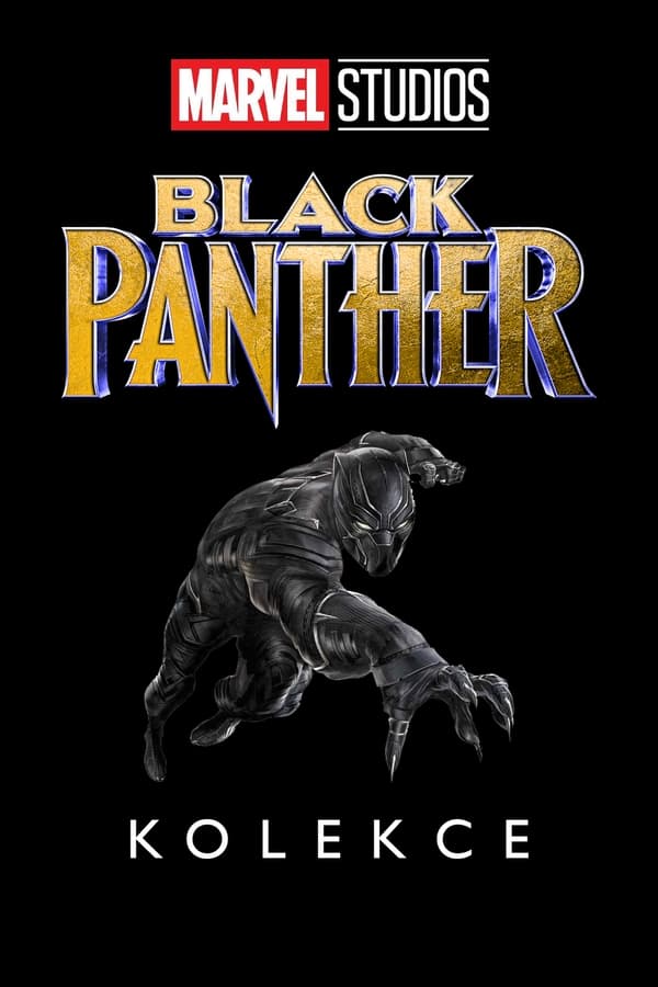 Obrazek ke kolekci filmu a serialu Black Panther