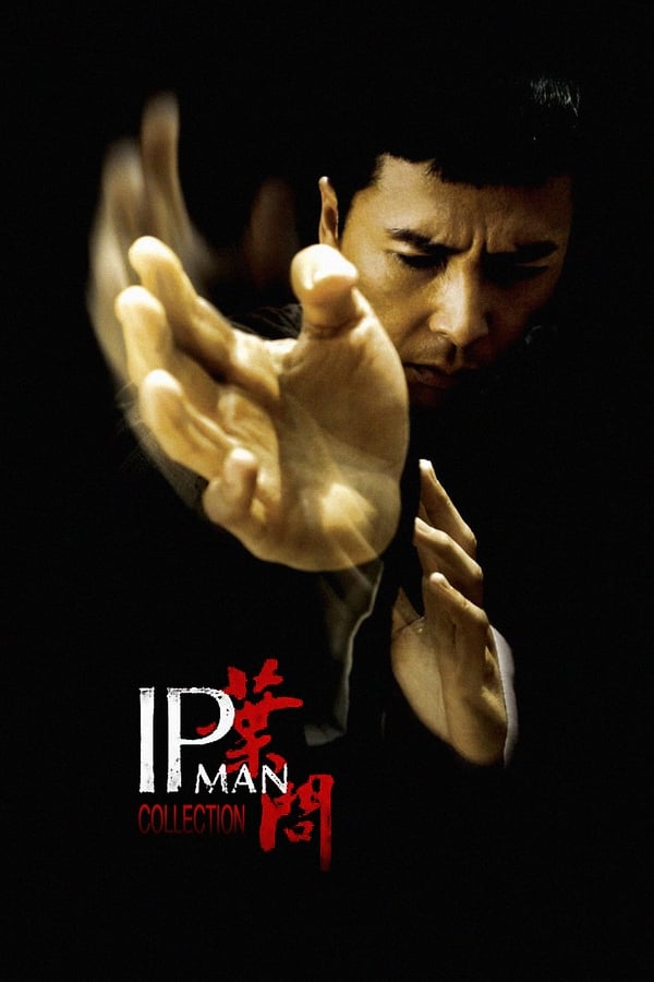Obrazek ke kolekci filmu a serialu Ip Man