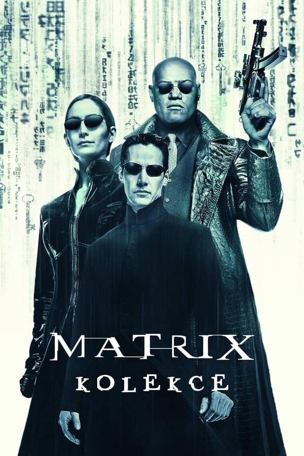 Obrazek ke kolekci filmu a serialu Matrix