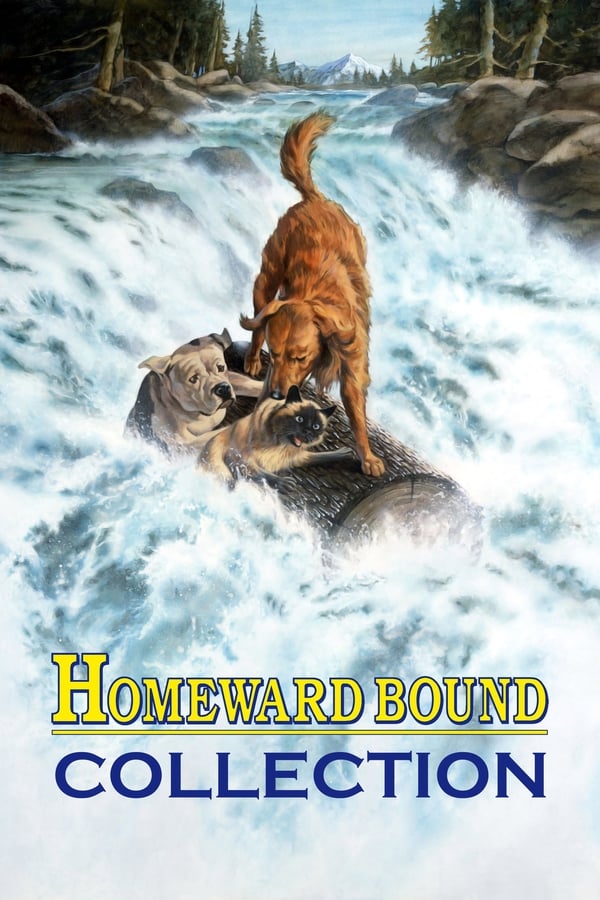 Obrazek ke kolekci filmu a serialu Homeward Bound