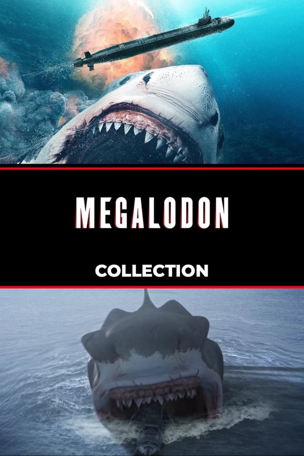 Obrazek ke kolekci filmu a serialu Megalodon