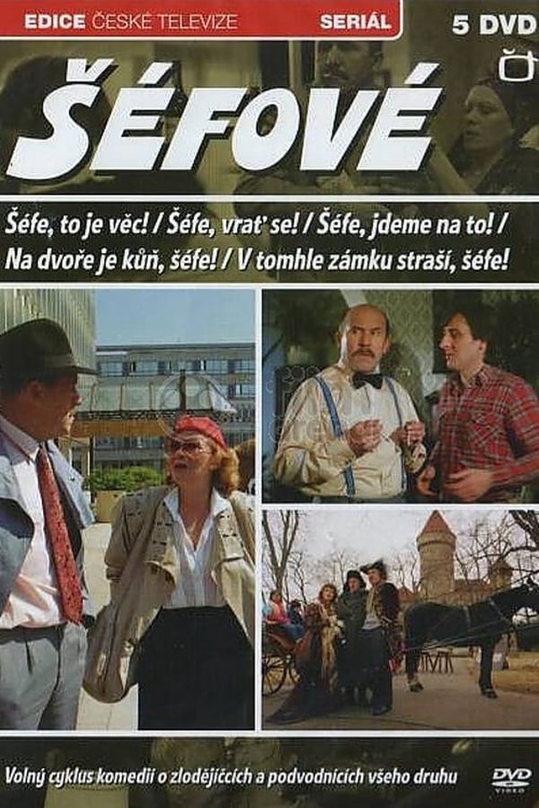 Obrazek ke kolekci filmu a serialu Šéfové