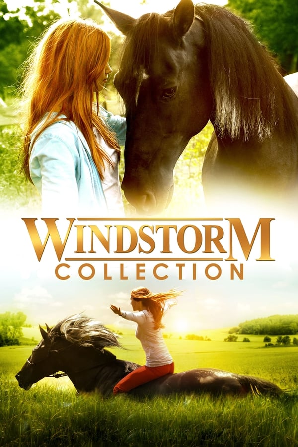 Obrazek ke kolekci filmu a serialu Rychlý jako vítr