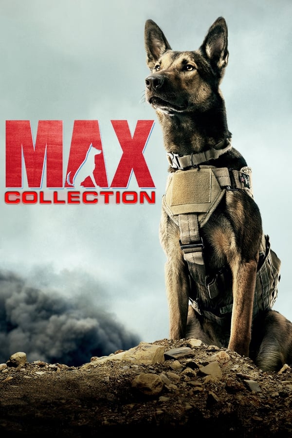 Obrazek ke kolekci filmu a serialu Max