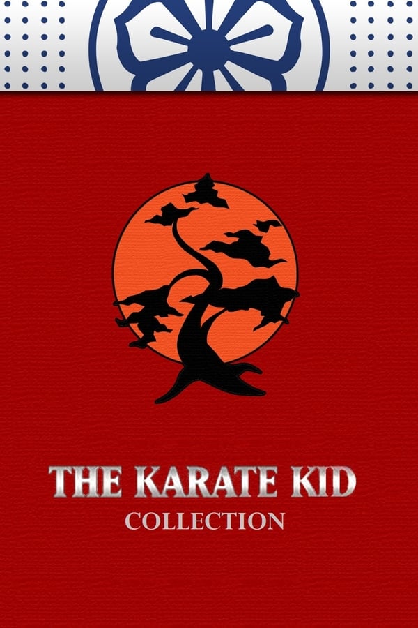 Obrazek ke kolekci filmu a serialu Karate Kid