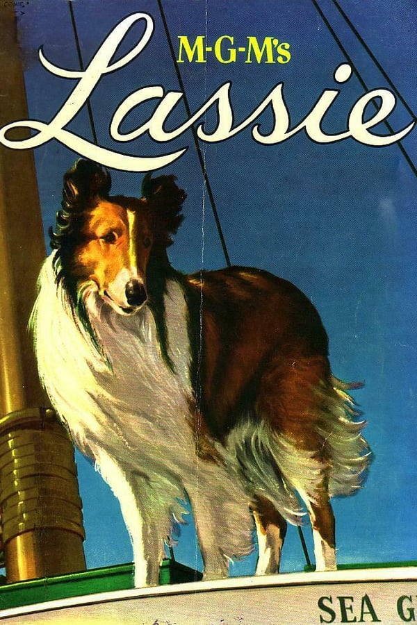 Obrazek ke kolekci filmu a serialu MGM's Lassie