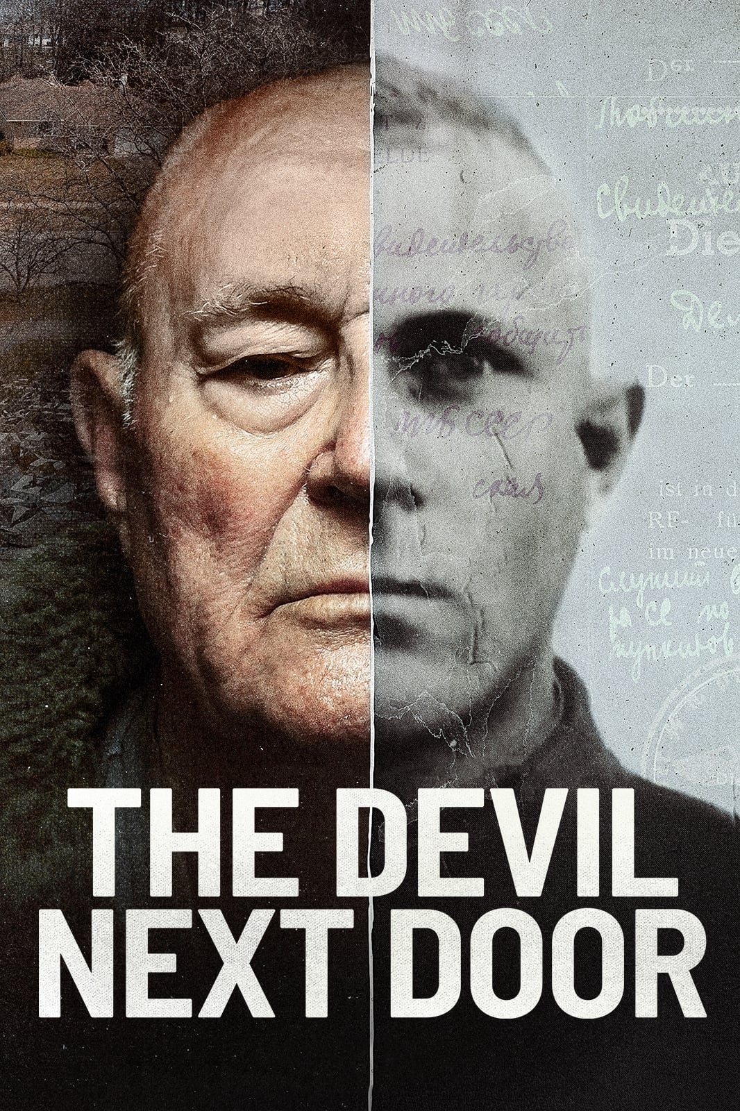 Plakát pro film “Ďábel od vedle”