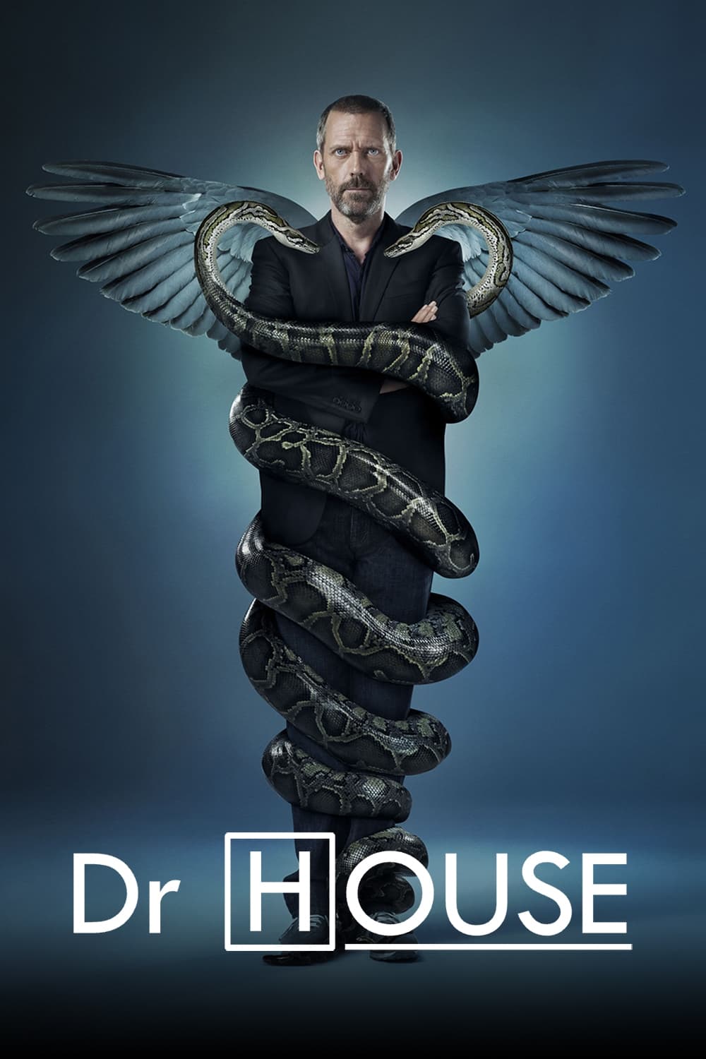 Plakát pro film “Dr. House”