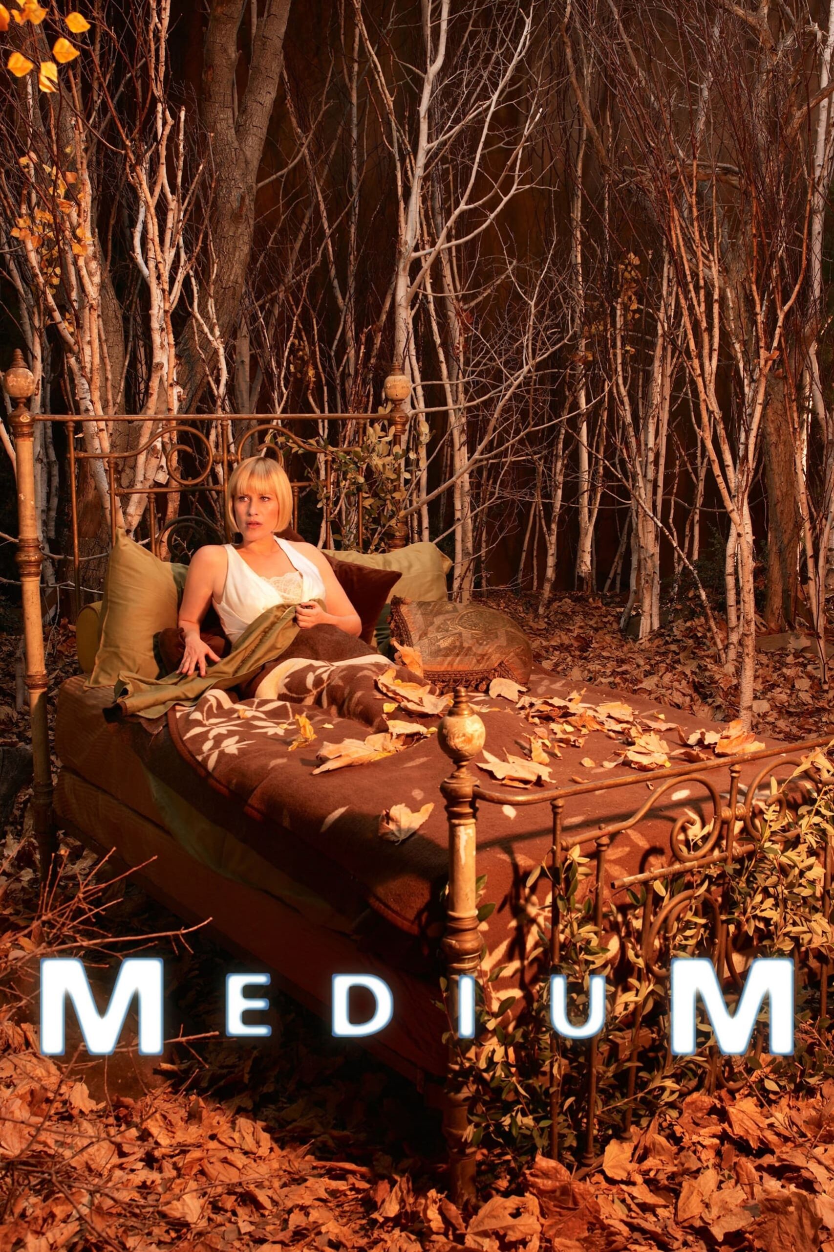 Plakát pro film “Médium”