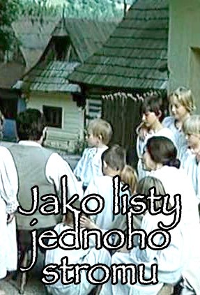 Plakát pro film “Jako listy jednoho stromu”