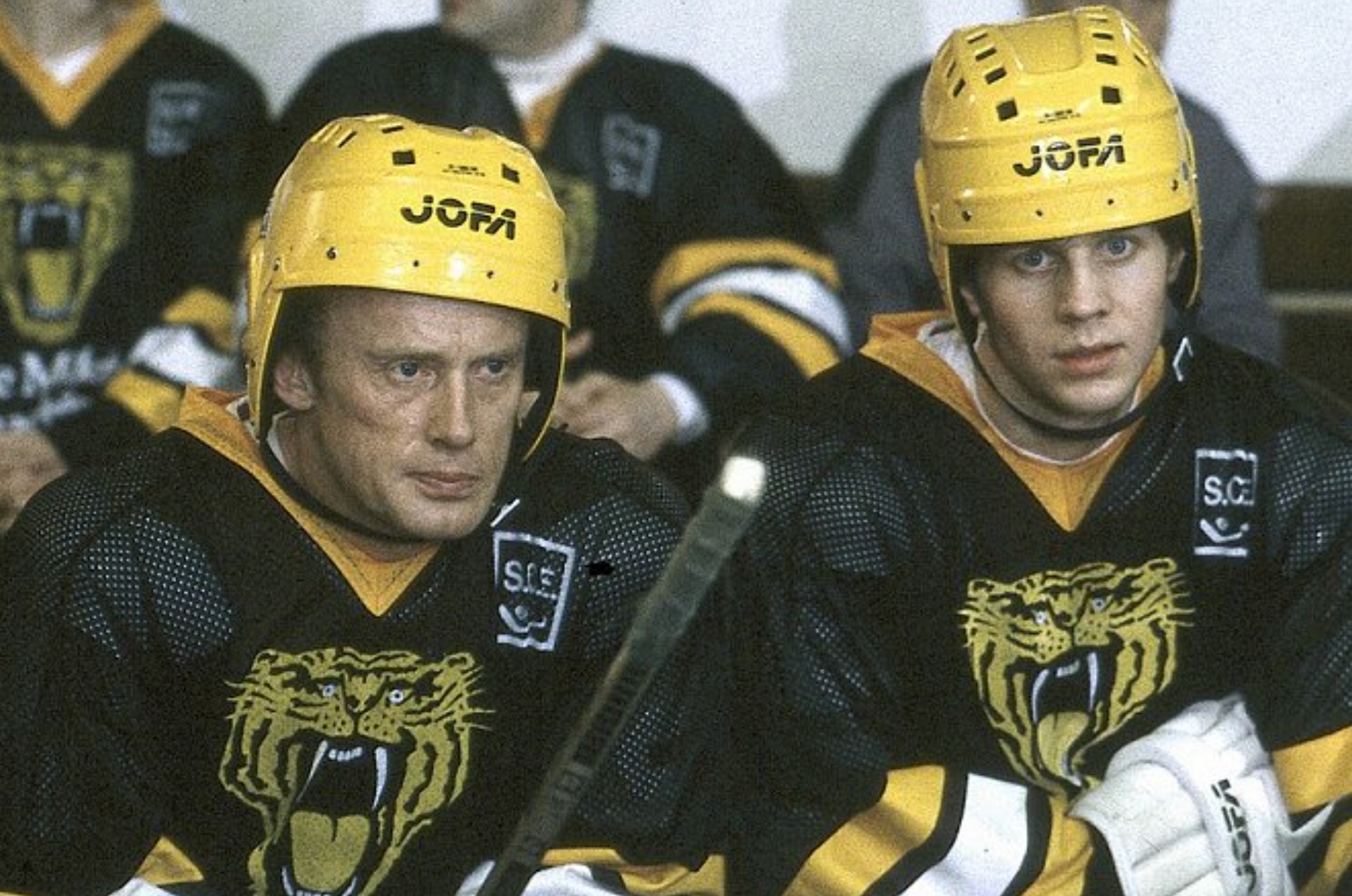 Tapeta filmu Zápas tygrů / Kampf der Tiger (1988–)