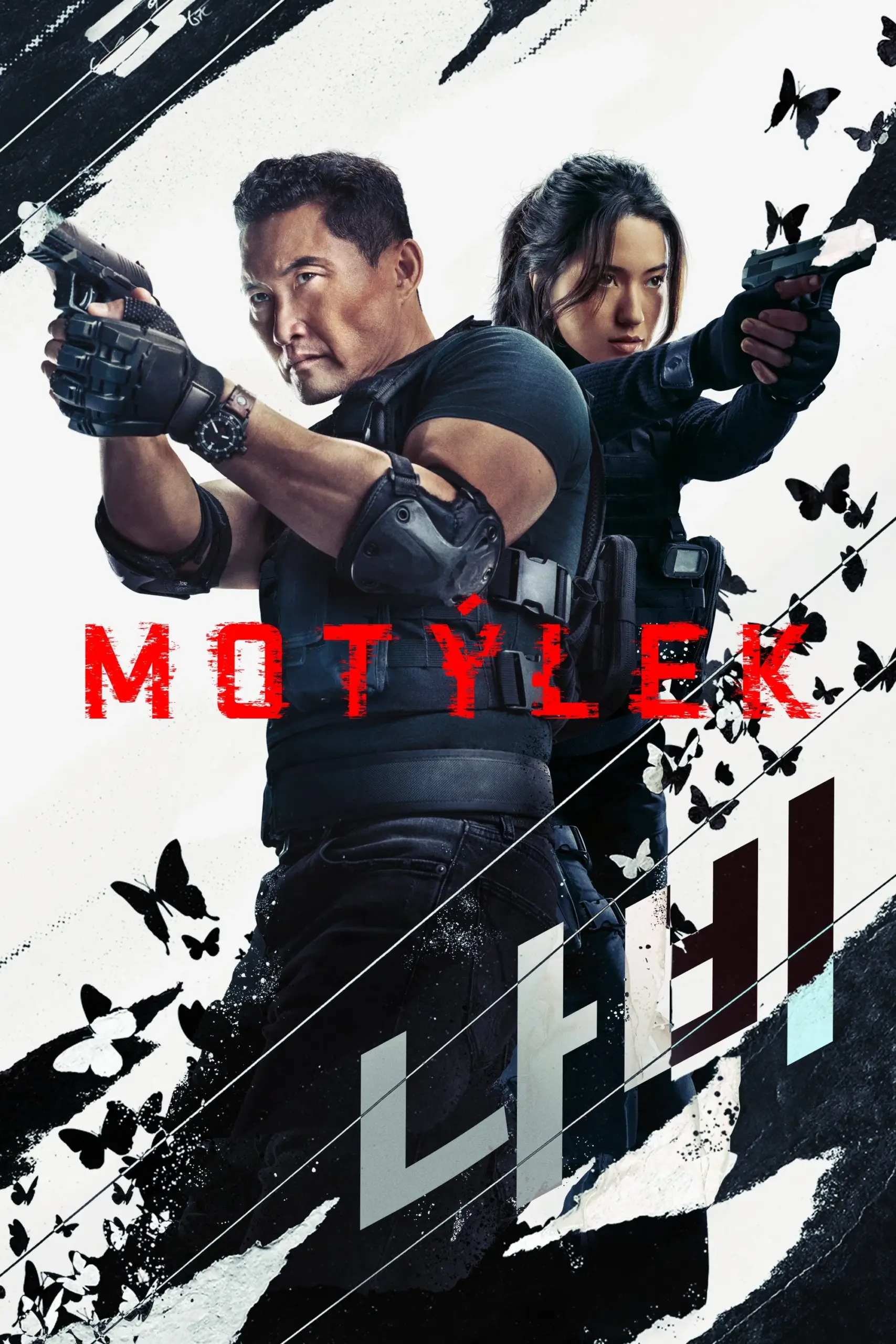 Plakát pro film “Motýlek”