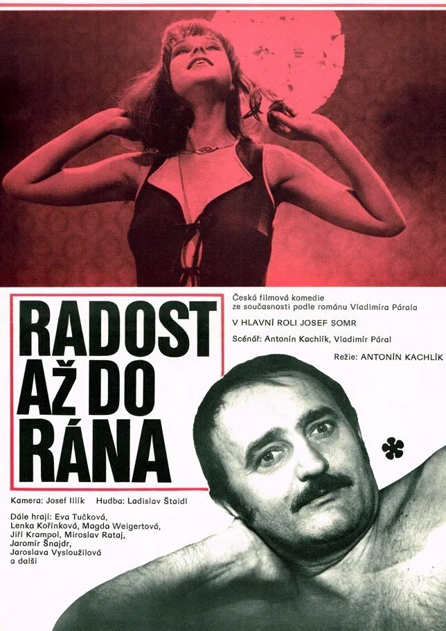 Plakát pro film “Radost až do rána”