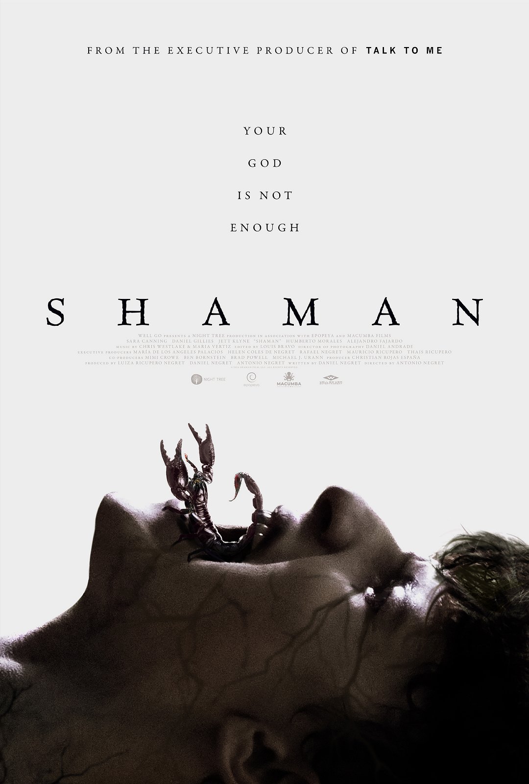 Tapeta filmu Shaman /  ()