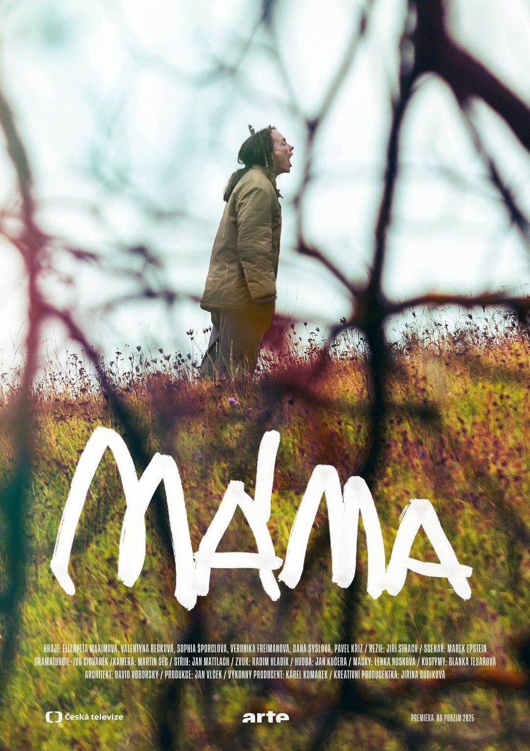 Plakát pro film “Máma”