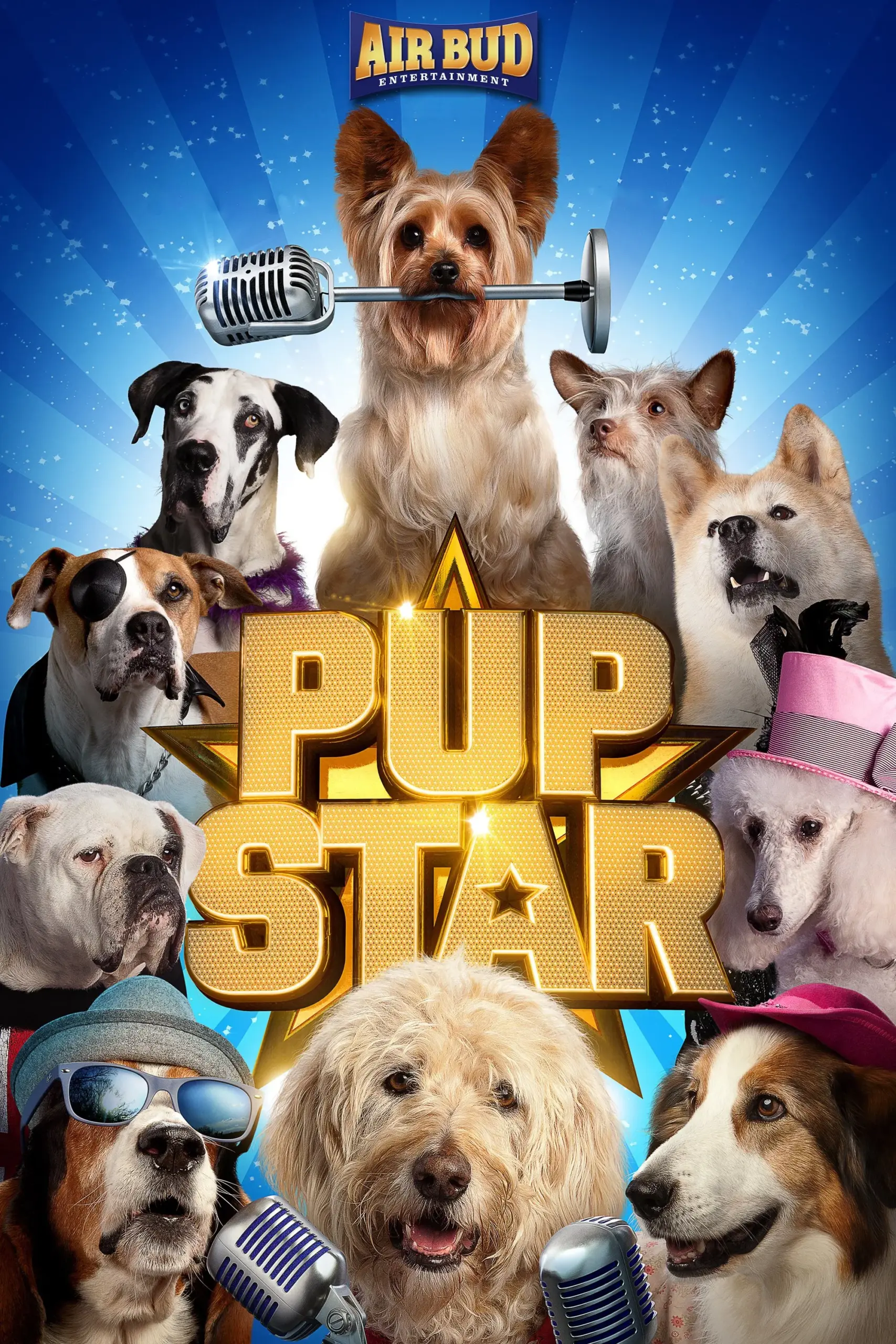 Plakát pro film “Pup Star”
