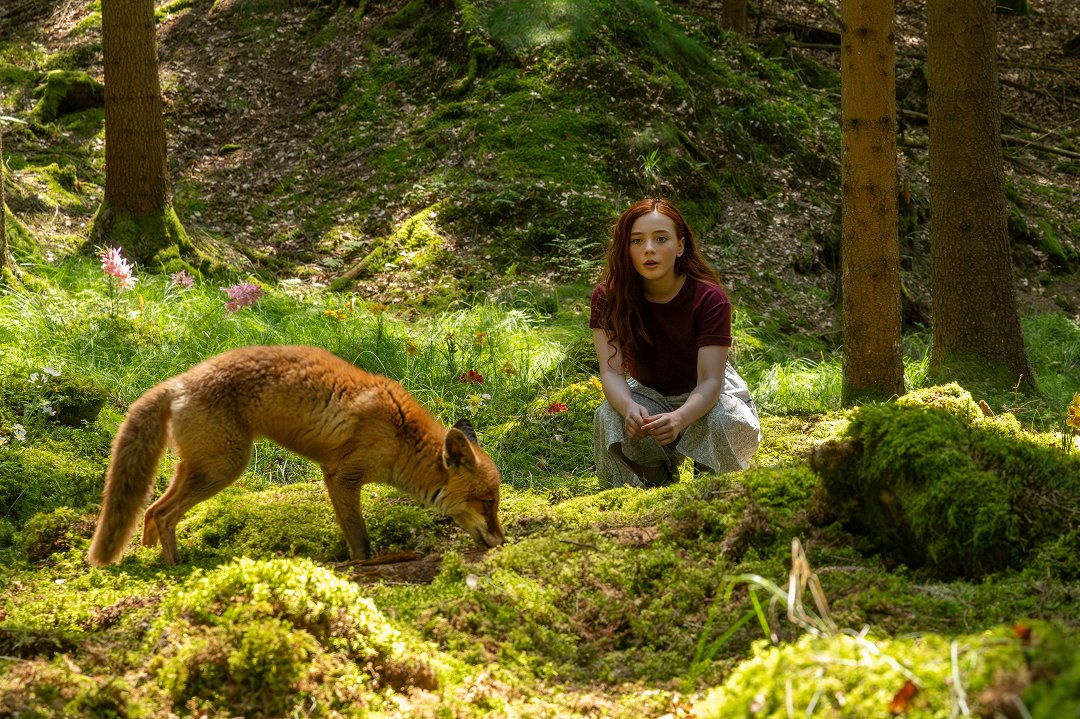 Tapeta filmu Dívka jménem Willow /  ()