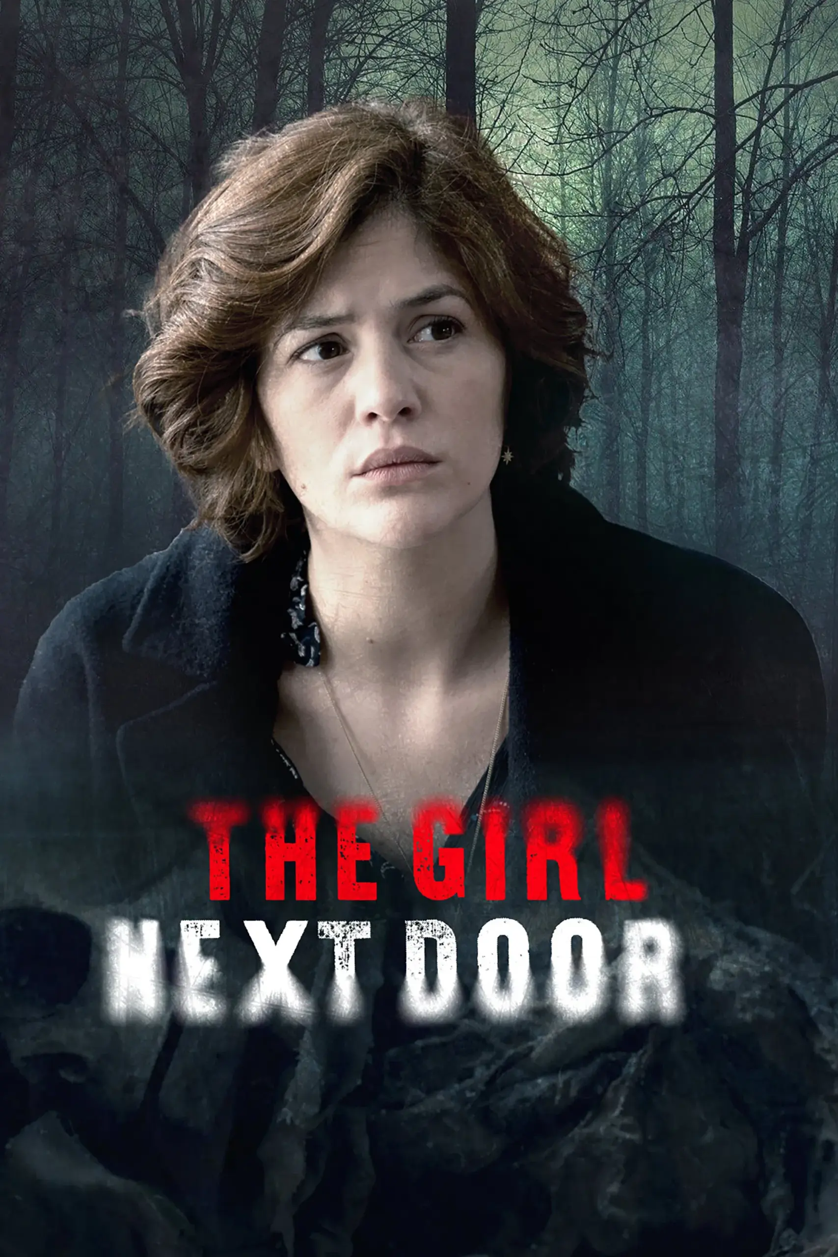 Plakát pro film “La fille de l’Assassin”