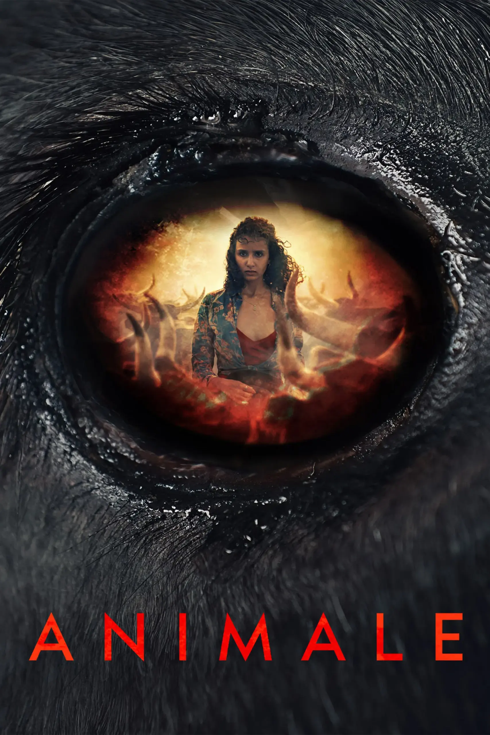 Plakát pro film “Animale”