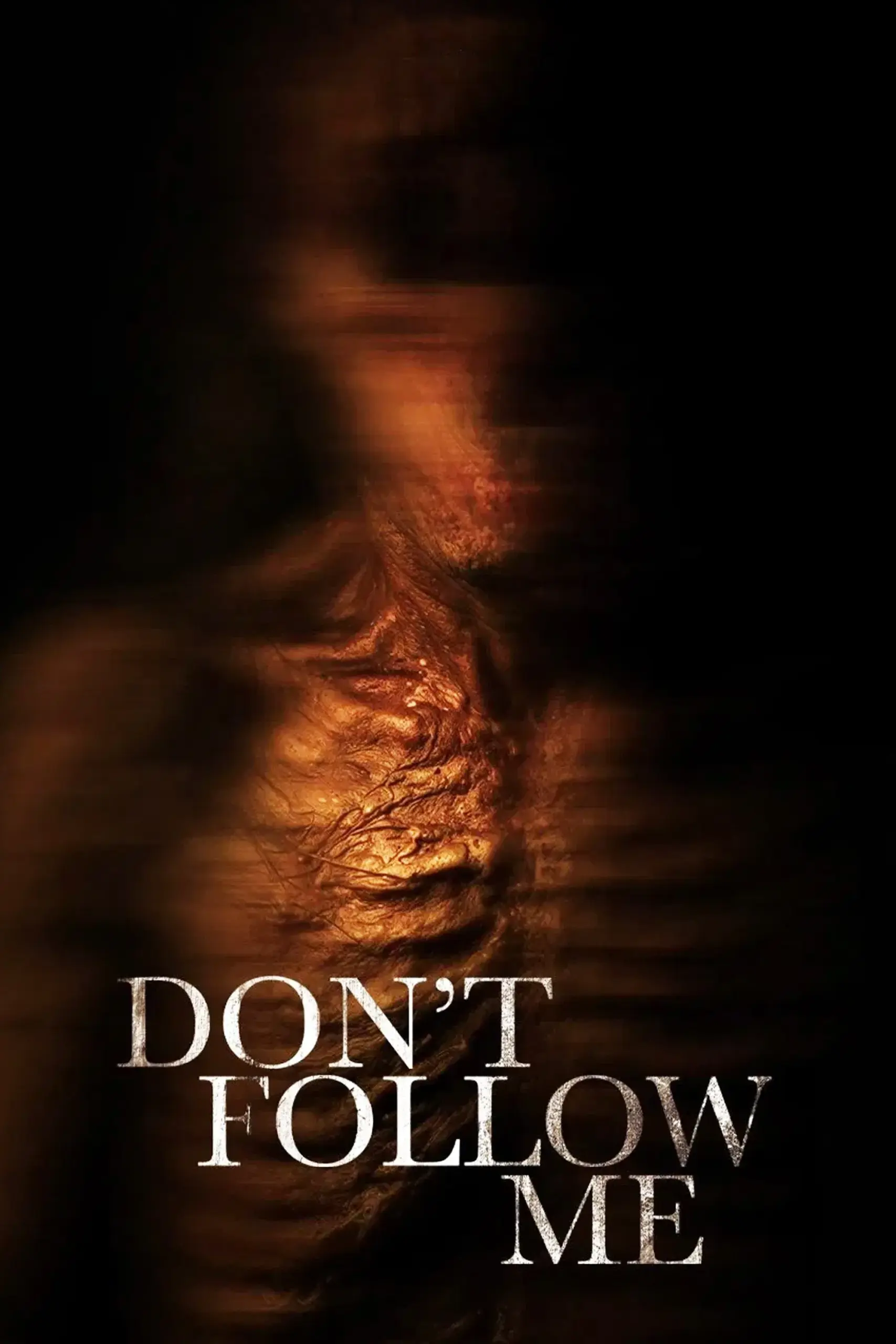 Plakát pro film “No me sigas”