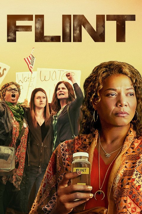 Plakát pro film “Flint”