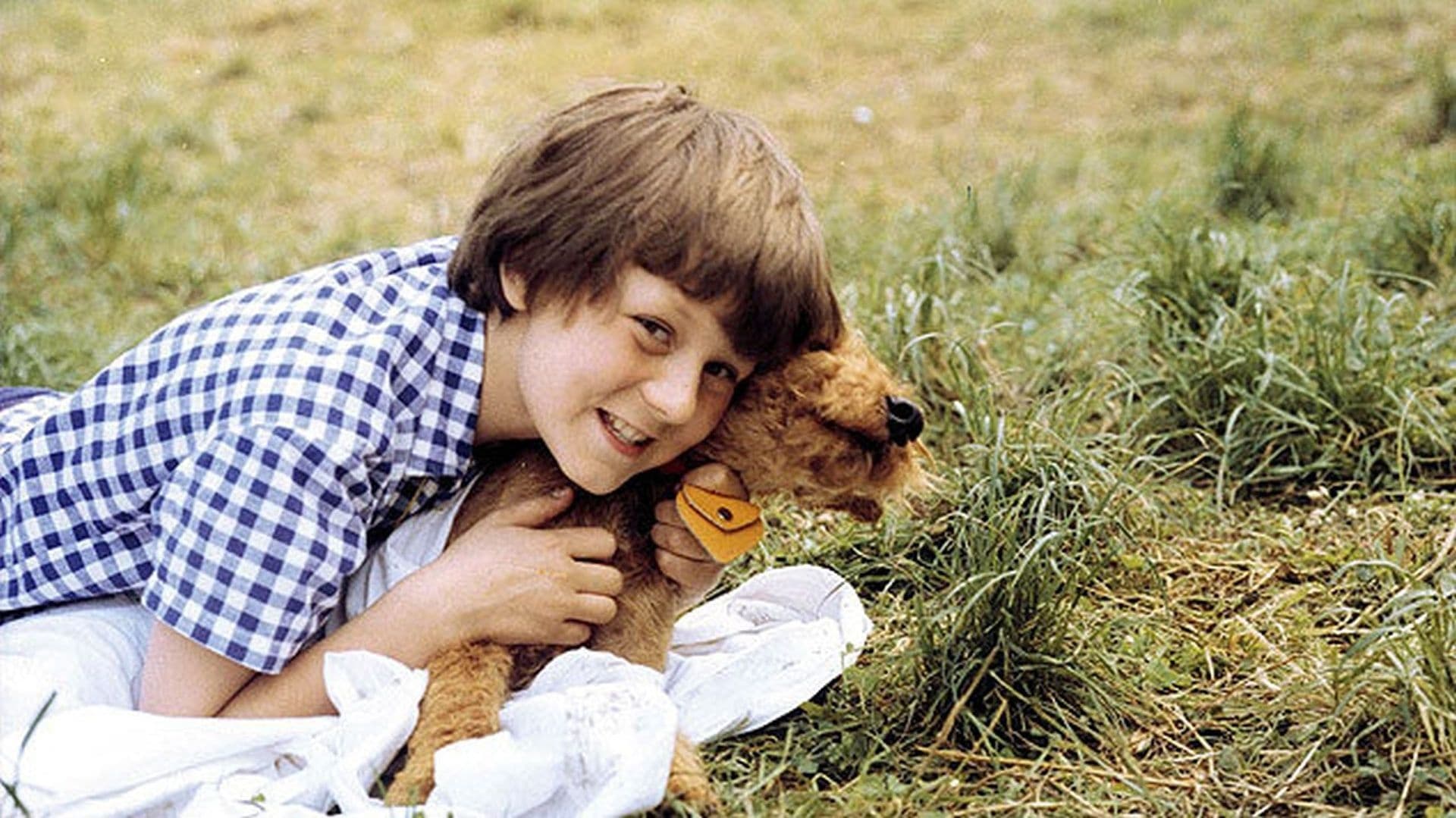 Tapeta filmu Prázdniny pro psa / Prázdniny pro psa (1981)
