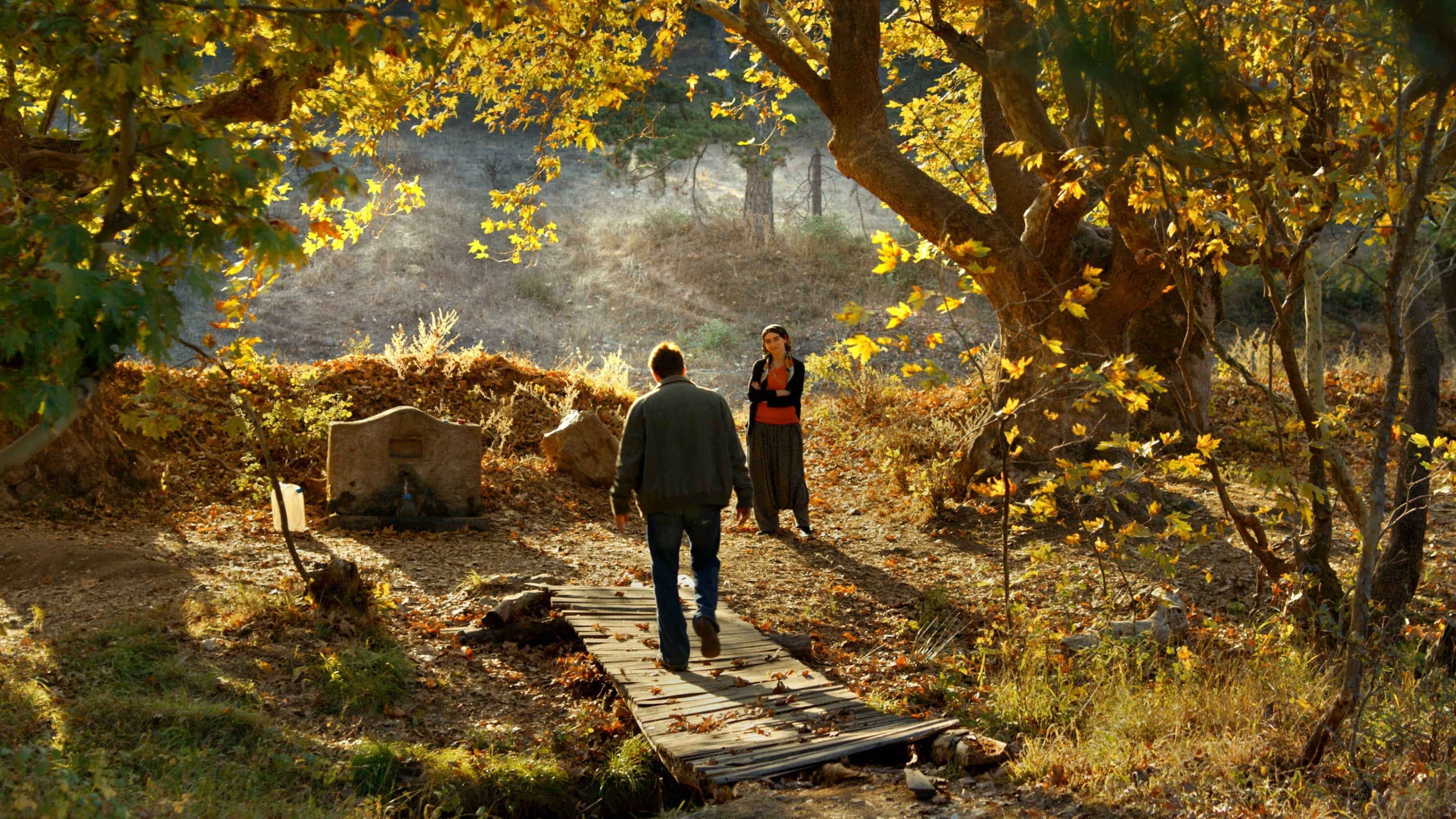 Tapeta filmu Planá hrušeň / The Wild Pear Tree (2018)