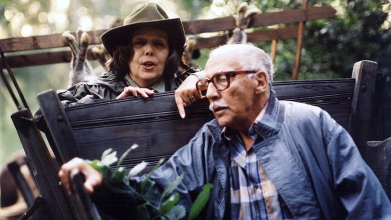 Tapeta filmu Poslední leč Alfonse Karáska / Poslední lec Alfonse Karáska (1987)
