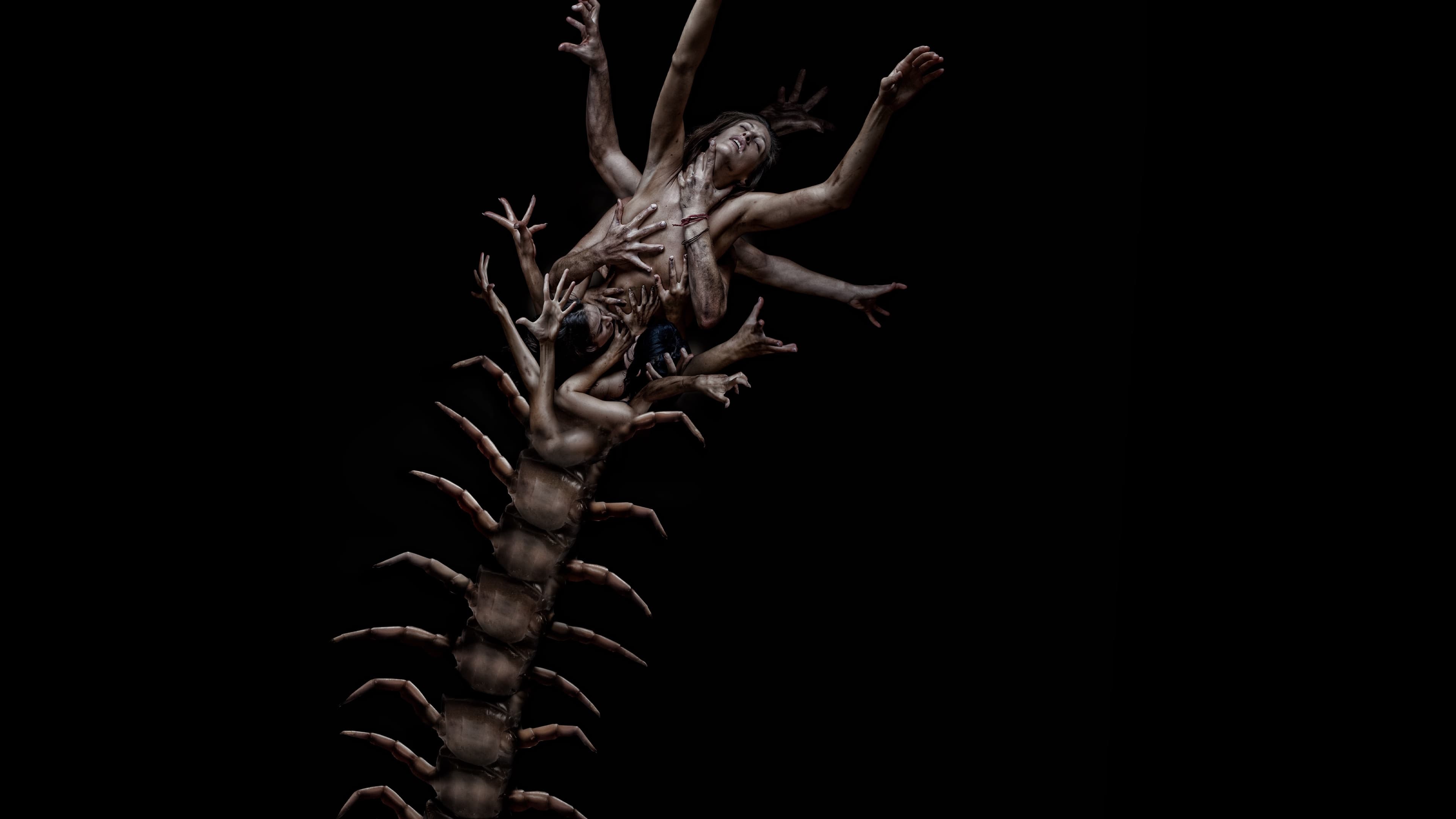 Tapeta filmu Lidská stonožka 2 / The Human Centipede 2 (Full Sequence) (2011)