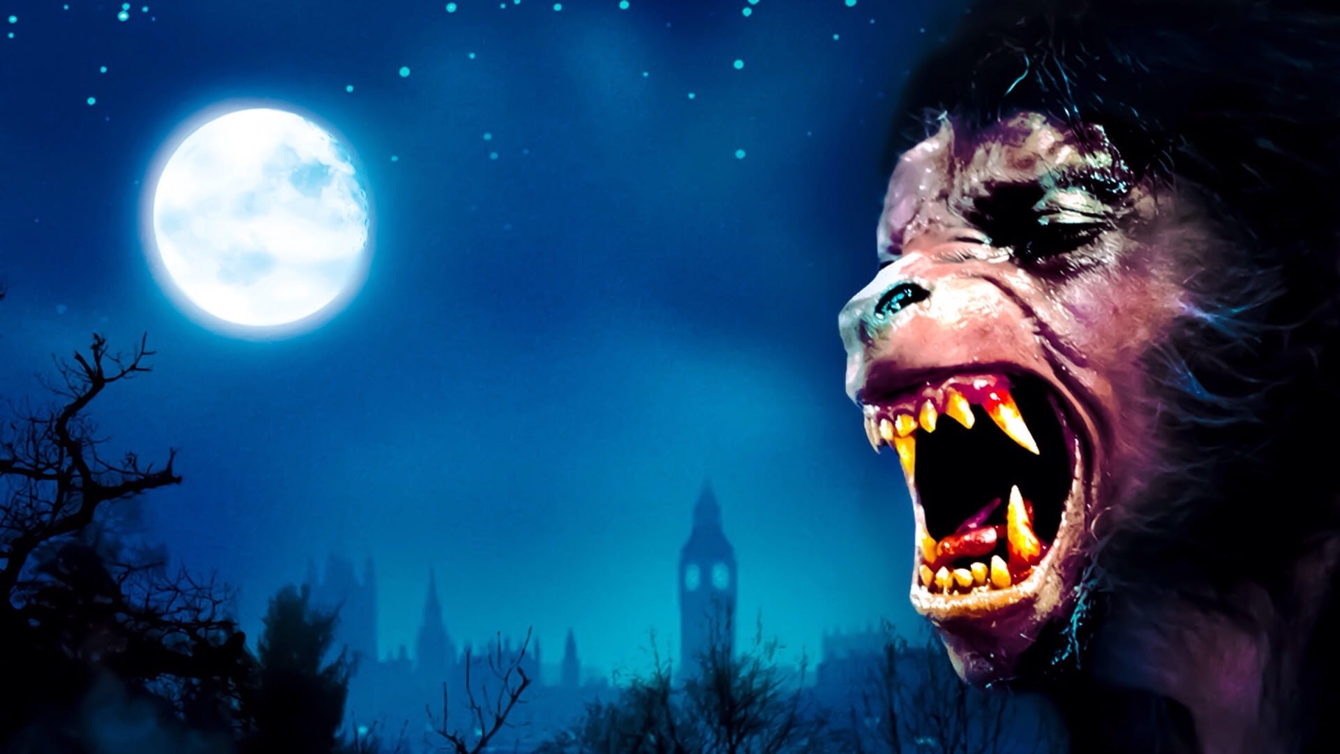 Tapeta filmu Americký vlkodlak v Londýně / An American Werewolf in London (1981)
