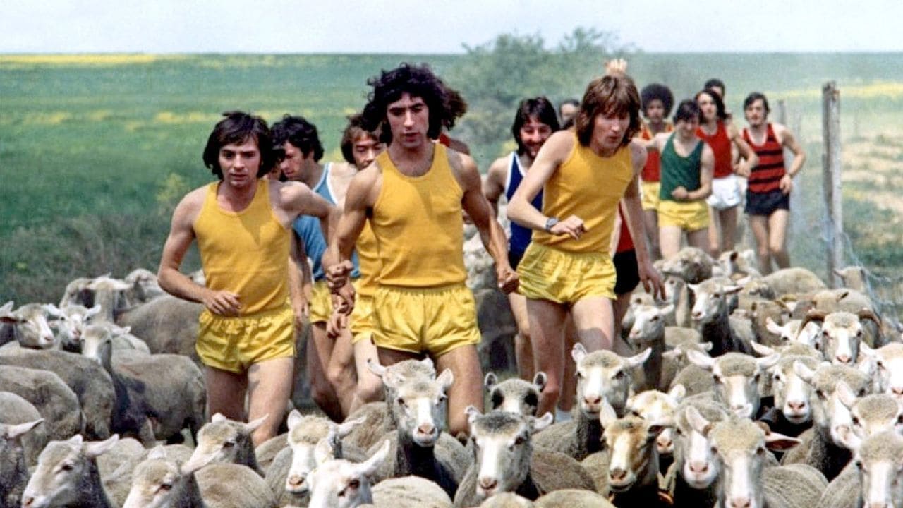 Tapeta filmu Blázni ze stadiónu / Les fous du stade (1972)