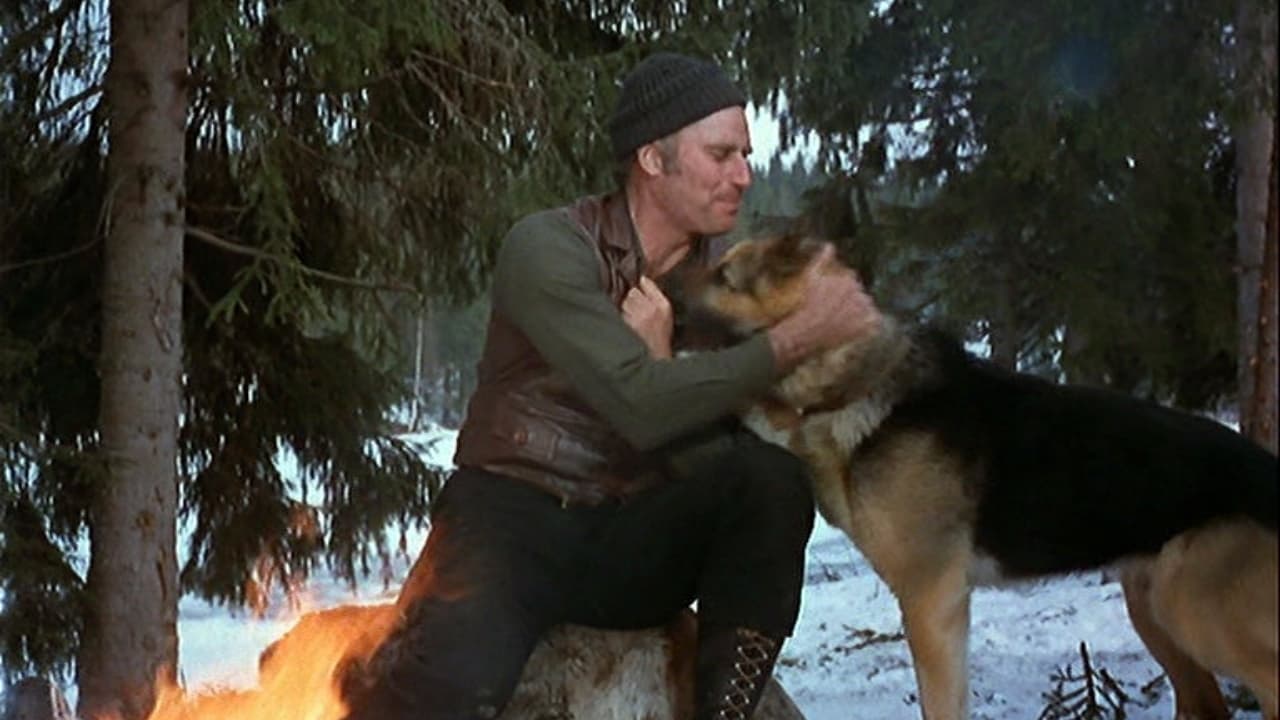 Tapeta filmu Volání divočiny / The Call of the Wild (1972)