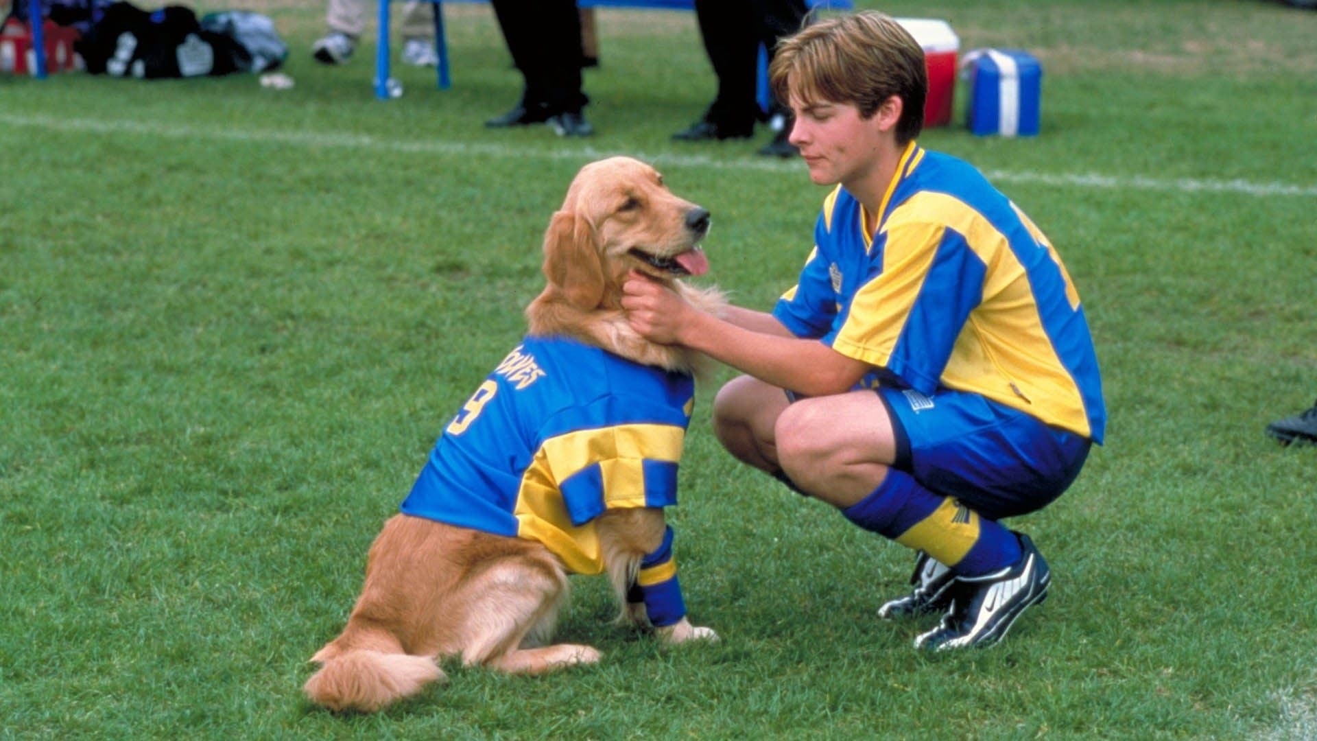 Tapeta filmu Air Bud – Fotbalista / Air Bud 3 (2000)