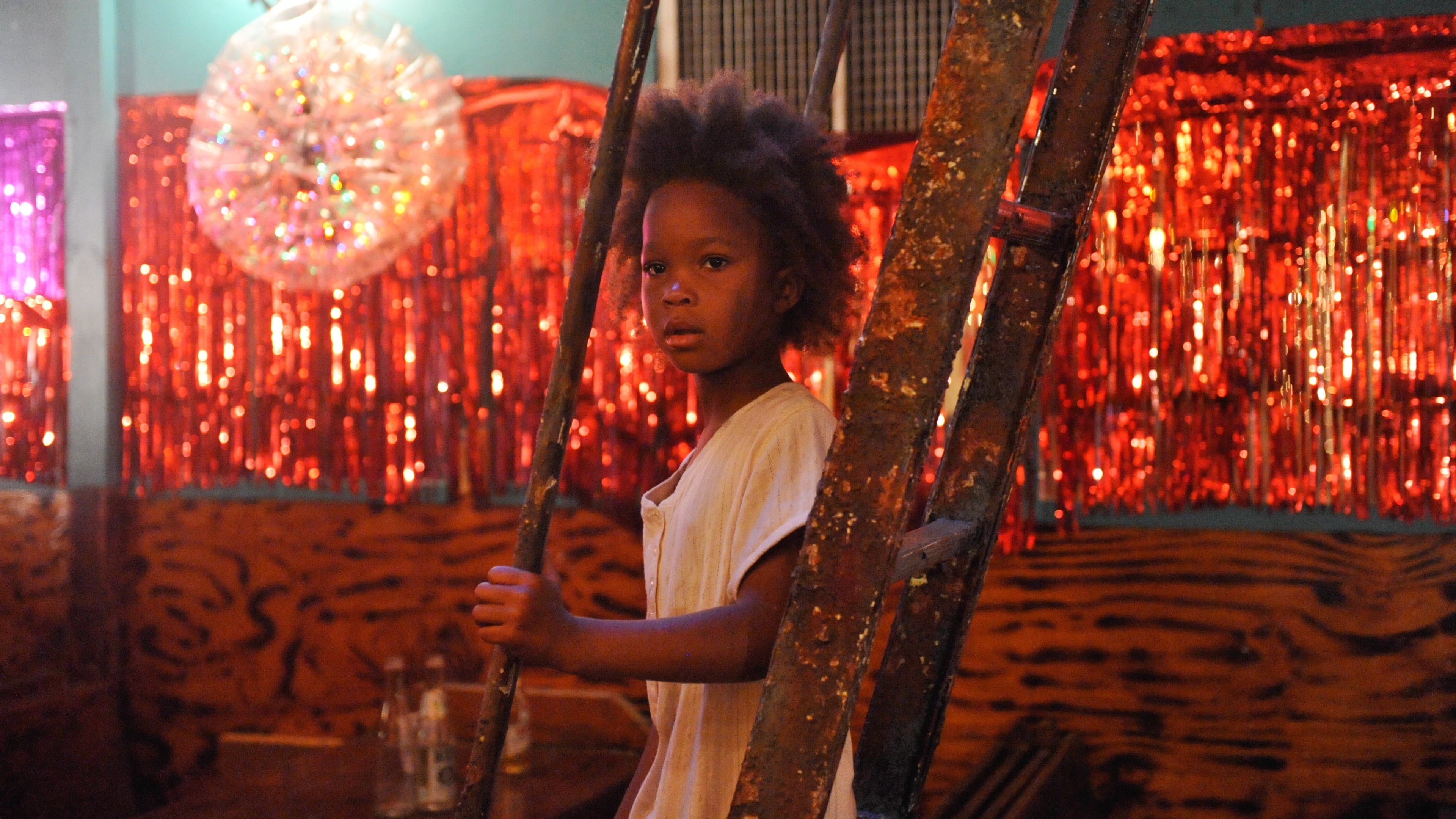 Tapeta filmu Divoká stvoření jižních krajin / Beasts of the Southern Wild (2012)