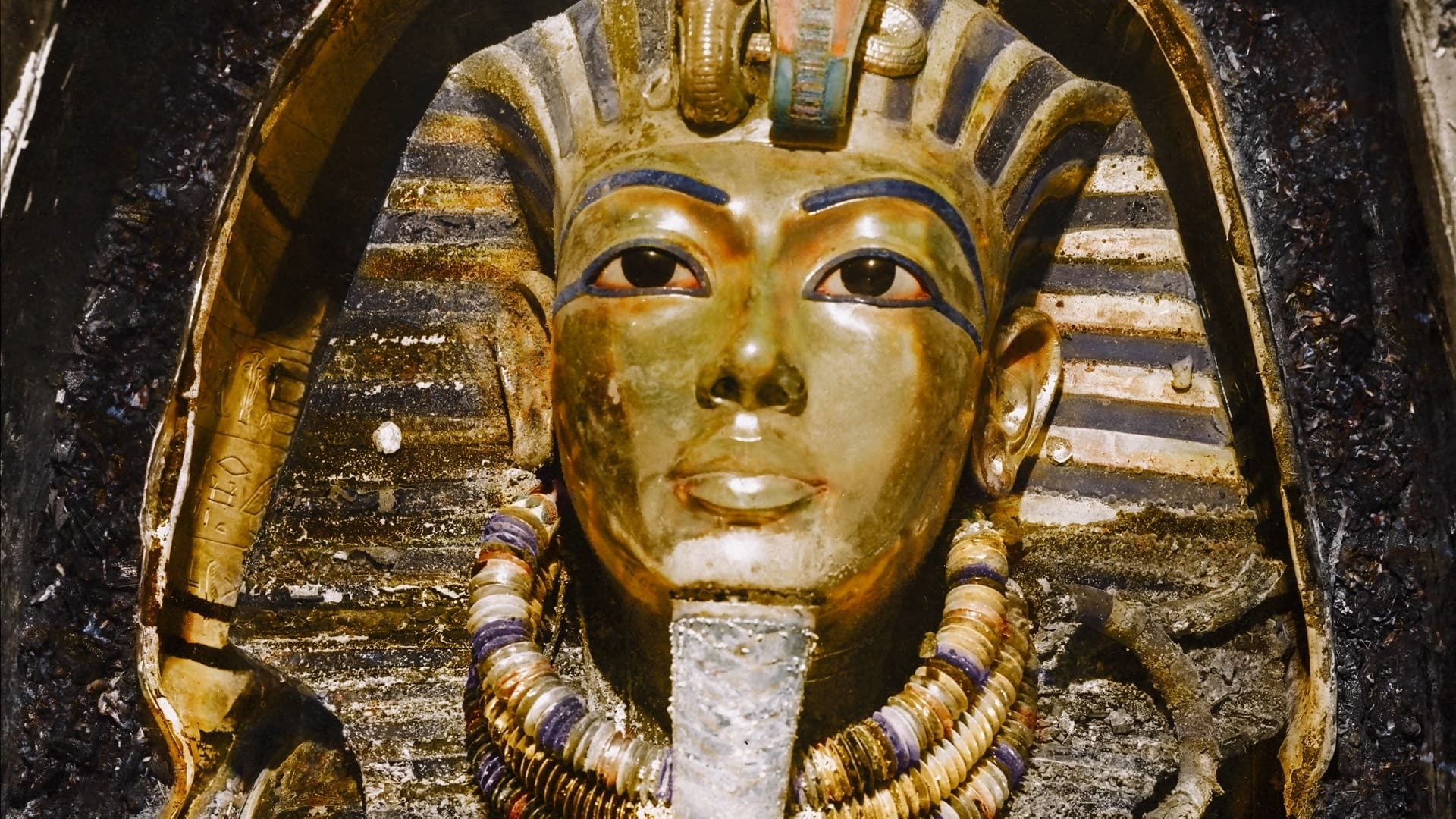 Tapeta filmu Tutanchamon v barvě / King Tut in Color (2020)