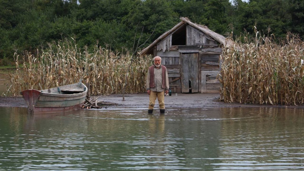 Tapeta filmu Kukuřičný ostrov / Corn Island (2014)