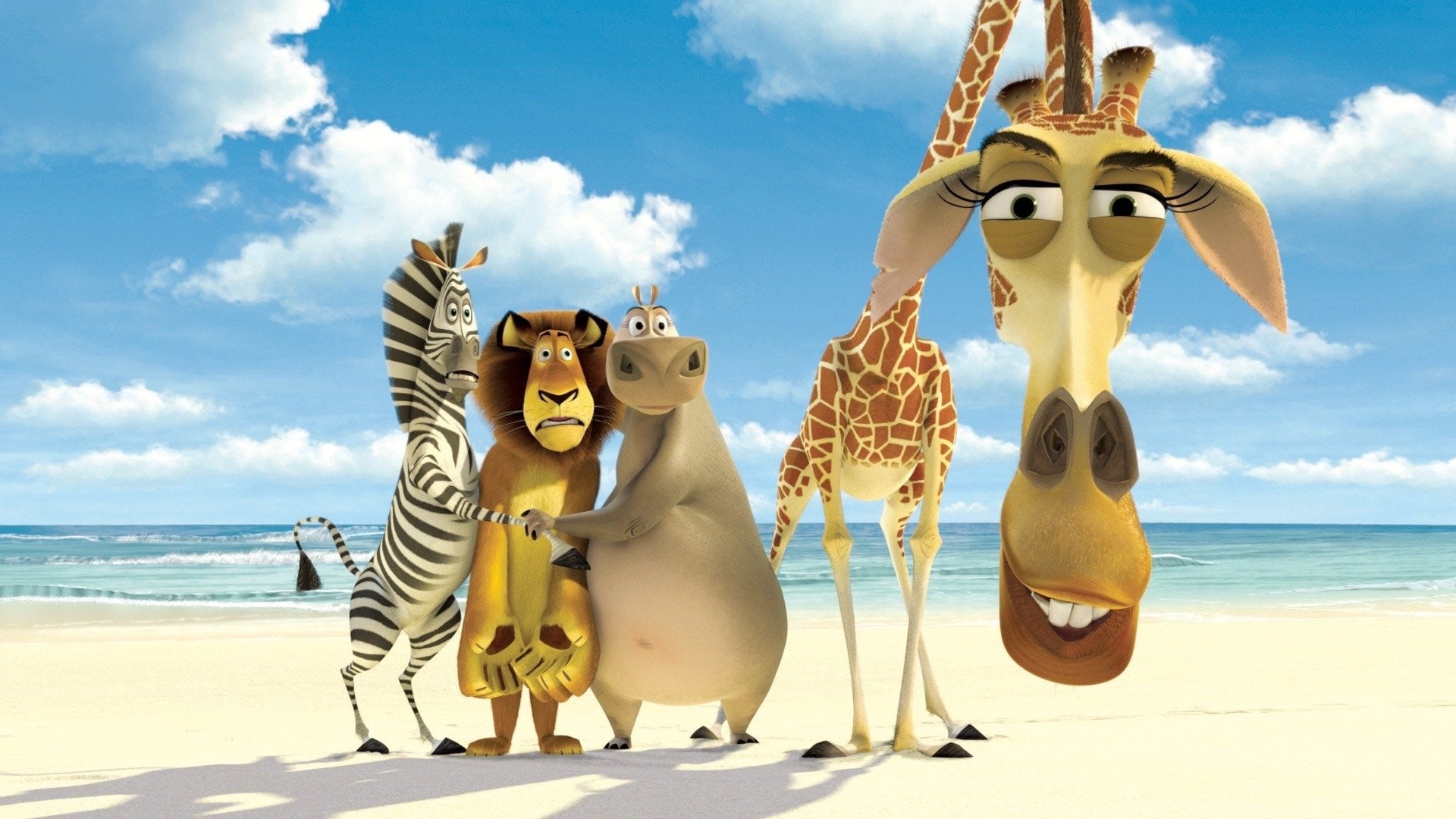 Tapeta filmu Madagaskar / Madagascar (2005)