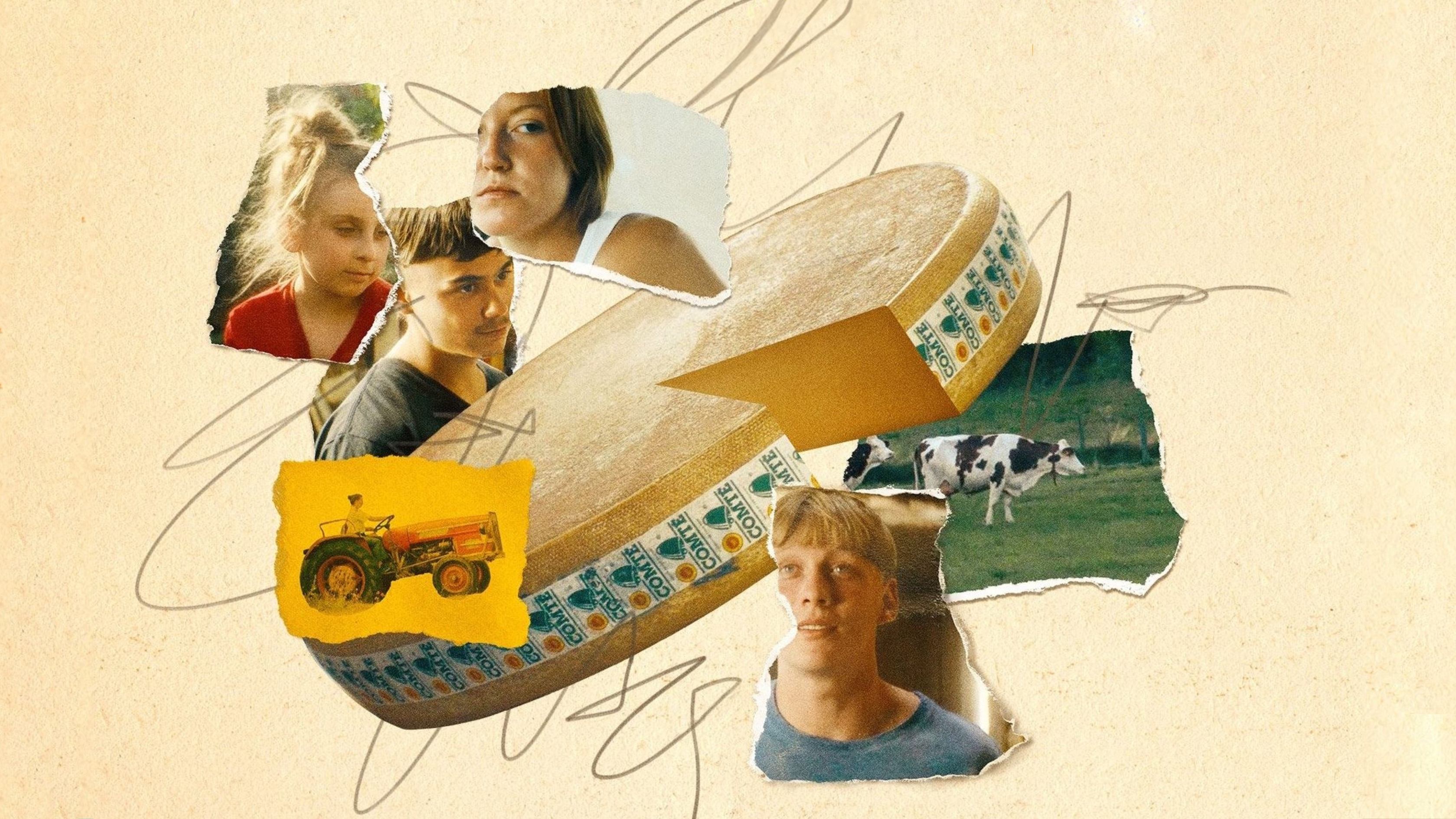 Tapeta filmu Ty krávo! / Holy Cow (2024)