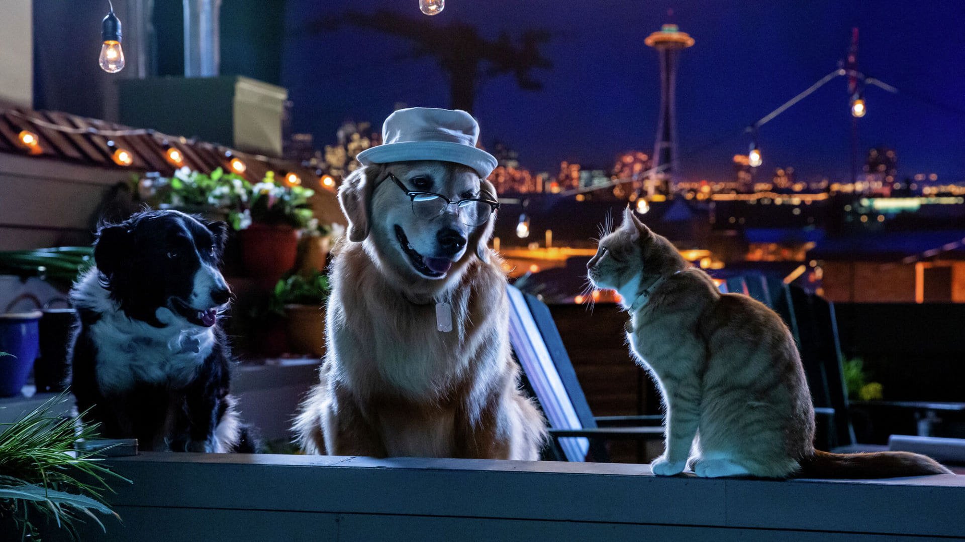 Tapeta filmu Cats & Dogs 3: Paws Unite / Cats & Dogs 3: Paws Unite (2020)