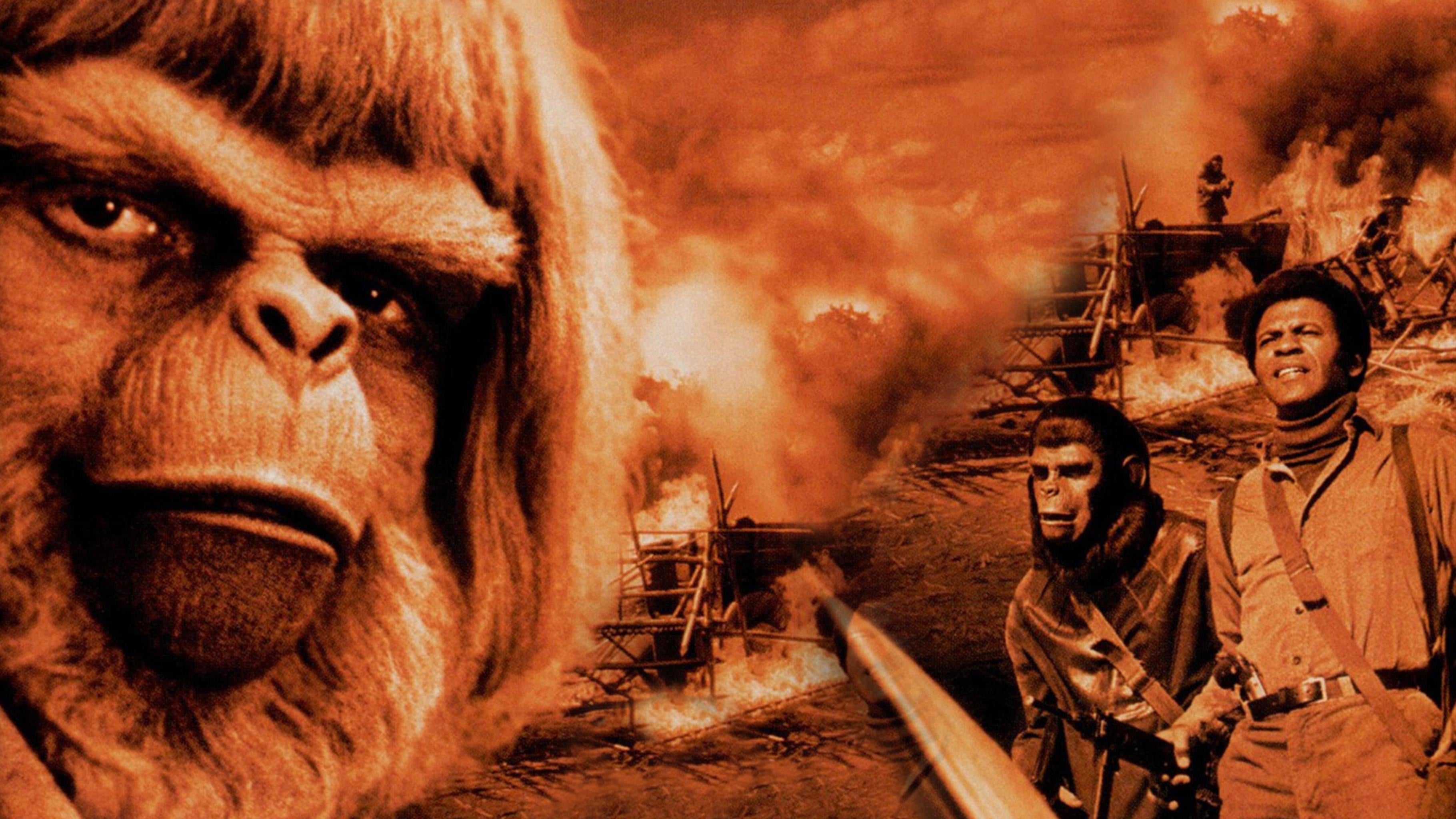 Tapeta filmu Bitva o Planetu opic / Battle for the Planet of the Apes (1973)