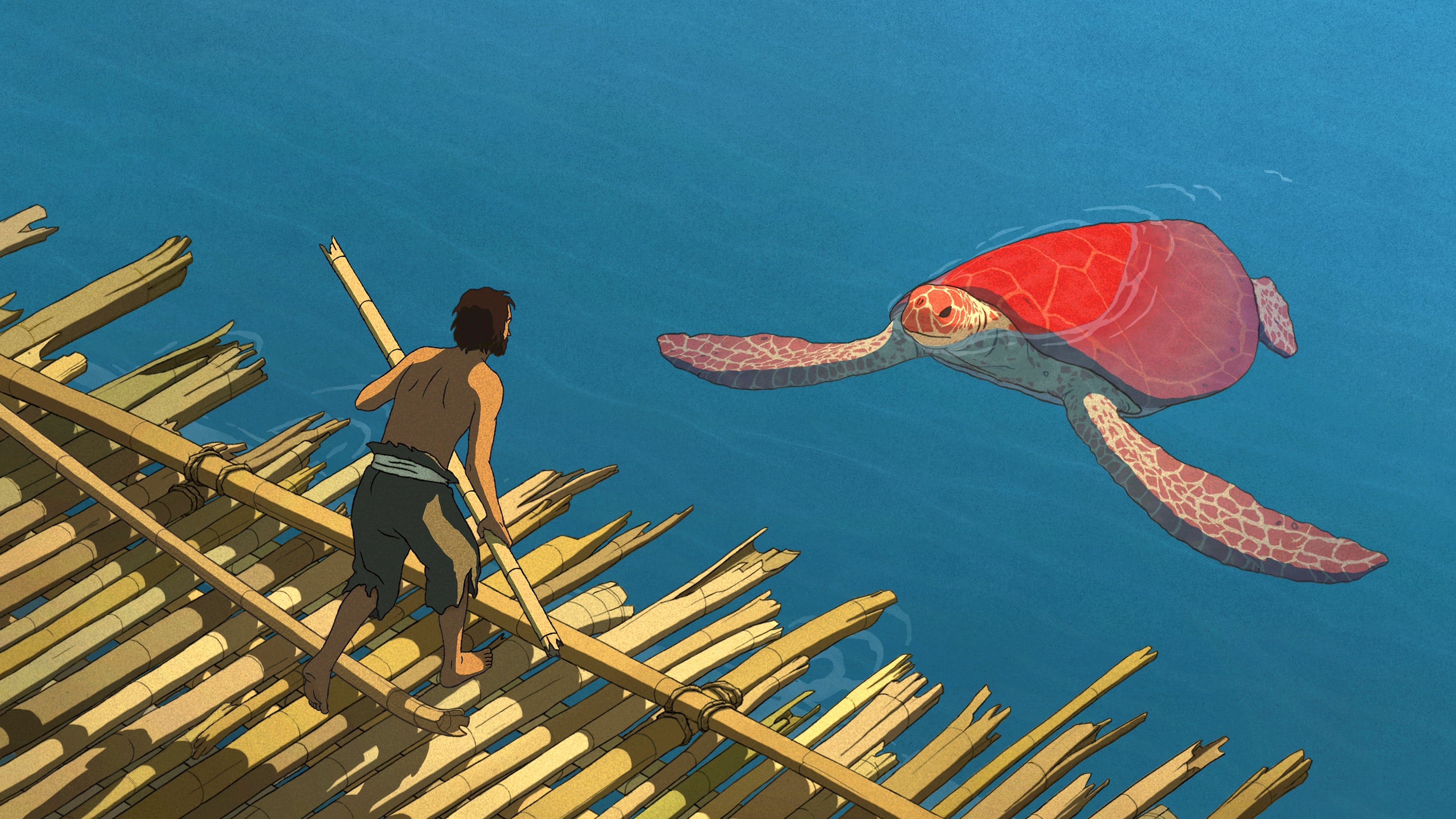 Tapeta filmu Červená želva / The Red Turtle (2016)