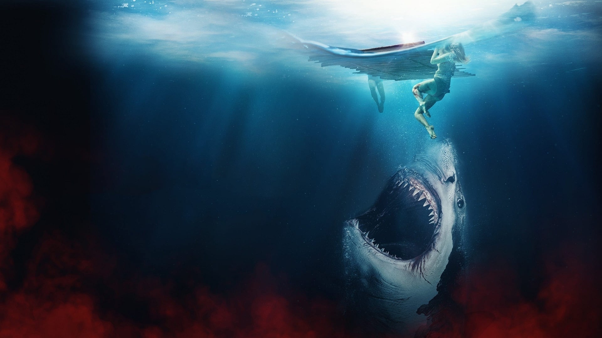 Tapeta filmu Ztraceni na moři / The Requin (2022)