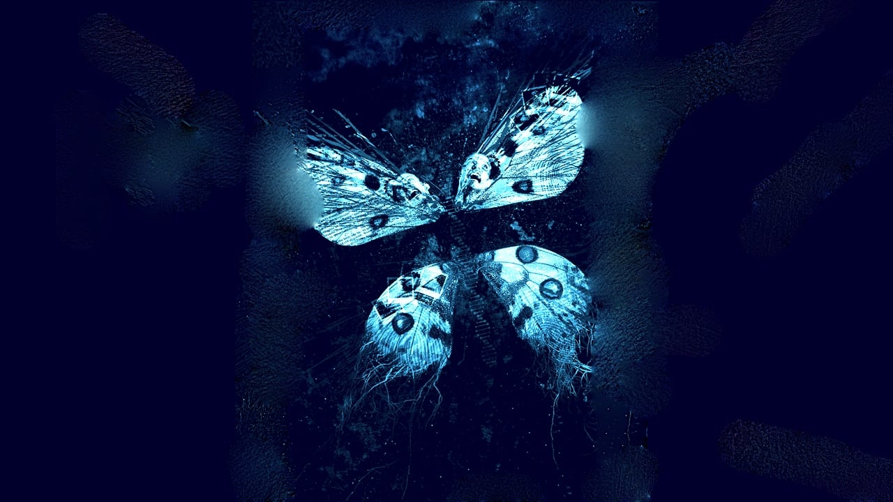 Tapeta filmu The Butterfly Effect 3: Revelations / The Butterfly Effect 3: Revelations (2009)